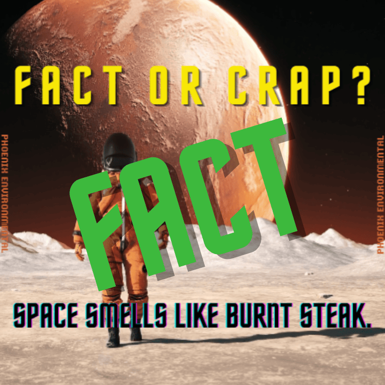 A computer-generated image shows an astronaut in an orange suit walking on icy terrain with a large orange planet in the background. In front of image, text reads "Fact or crap? Space smells like burnt steak", with "FACT" stamped in large letters in the middle of the image. 